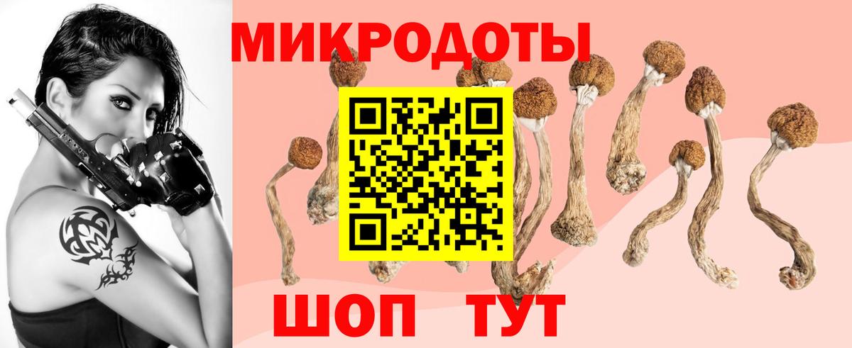 Галлюциногенные грибы мухоморы  Псилоцибиновые грибы ЛСД  Вход с VPN  Заволжье 